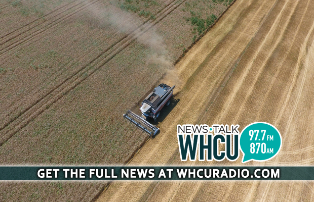 New York farmworkers says more protections needed against COVID-19