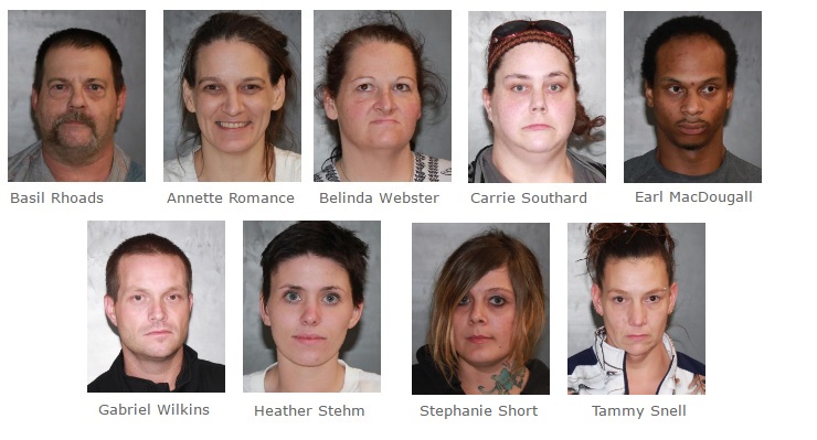 Nine arrested in Schuyler County meth bust