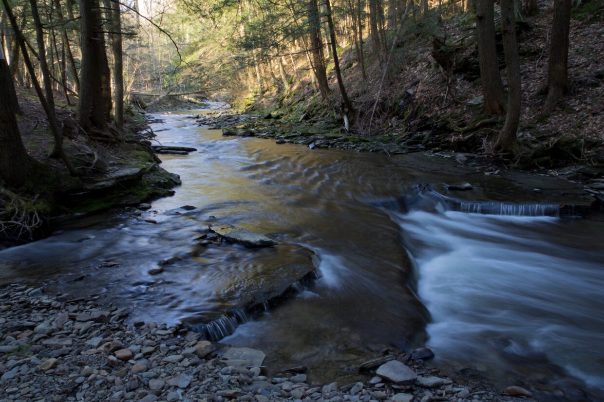 DEC grant would fund Six Mile Creek assessment study in Tompkins County