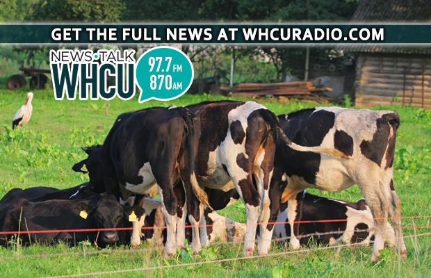 Ulysses Planning Board to discuss agriculture