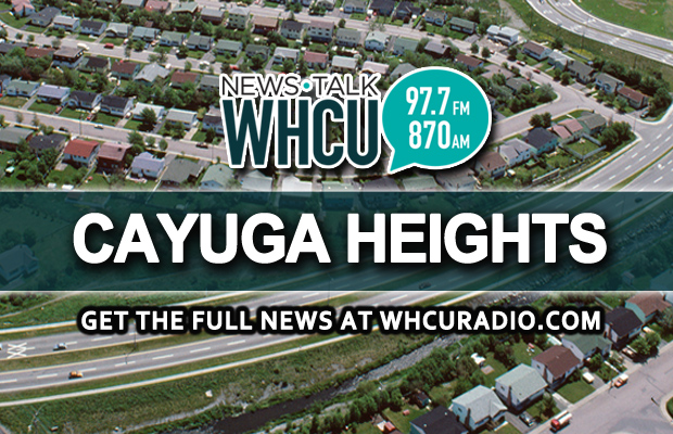 Cayuga Heights applies for grant to help restore park