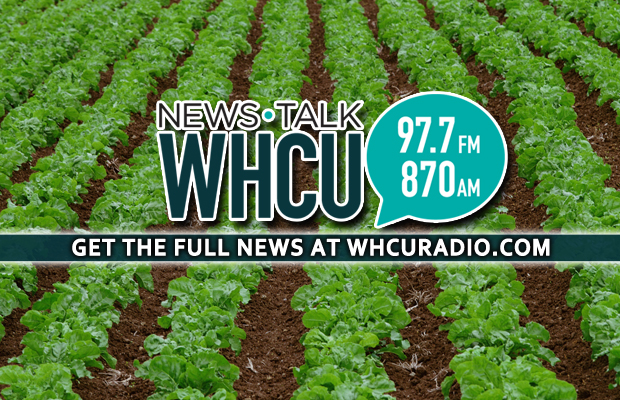 Enfield to host Spring Rhubarb Festival