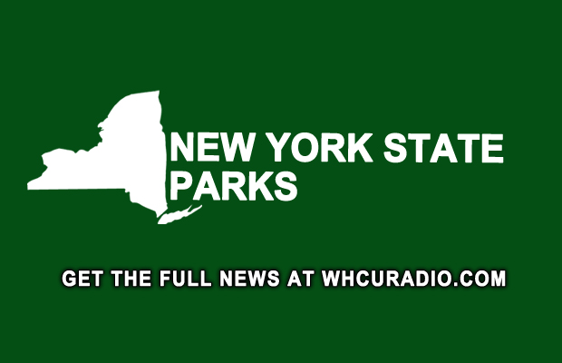 Watkins Glen voted top spot in Tripadvisor’s Best 10 NY State Parks list