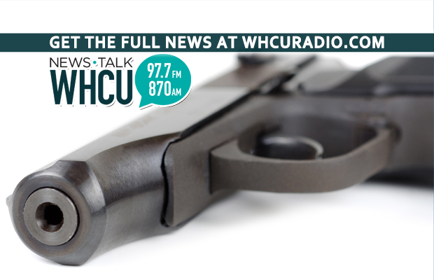 Ithaca Police, unarmed responders would enforce gun safety proposal