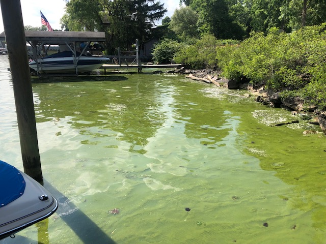 Finger Lakes Land Trust working to reduce harmful algal blooms Finger Lakes Land Trust working to reduce harmful algal blooms