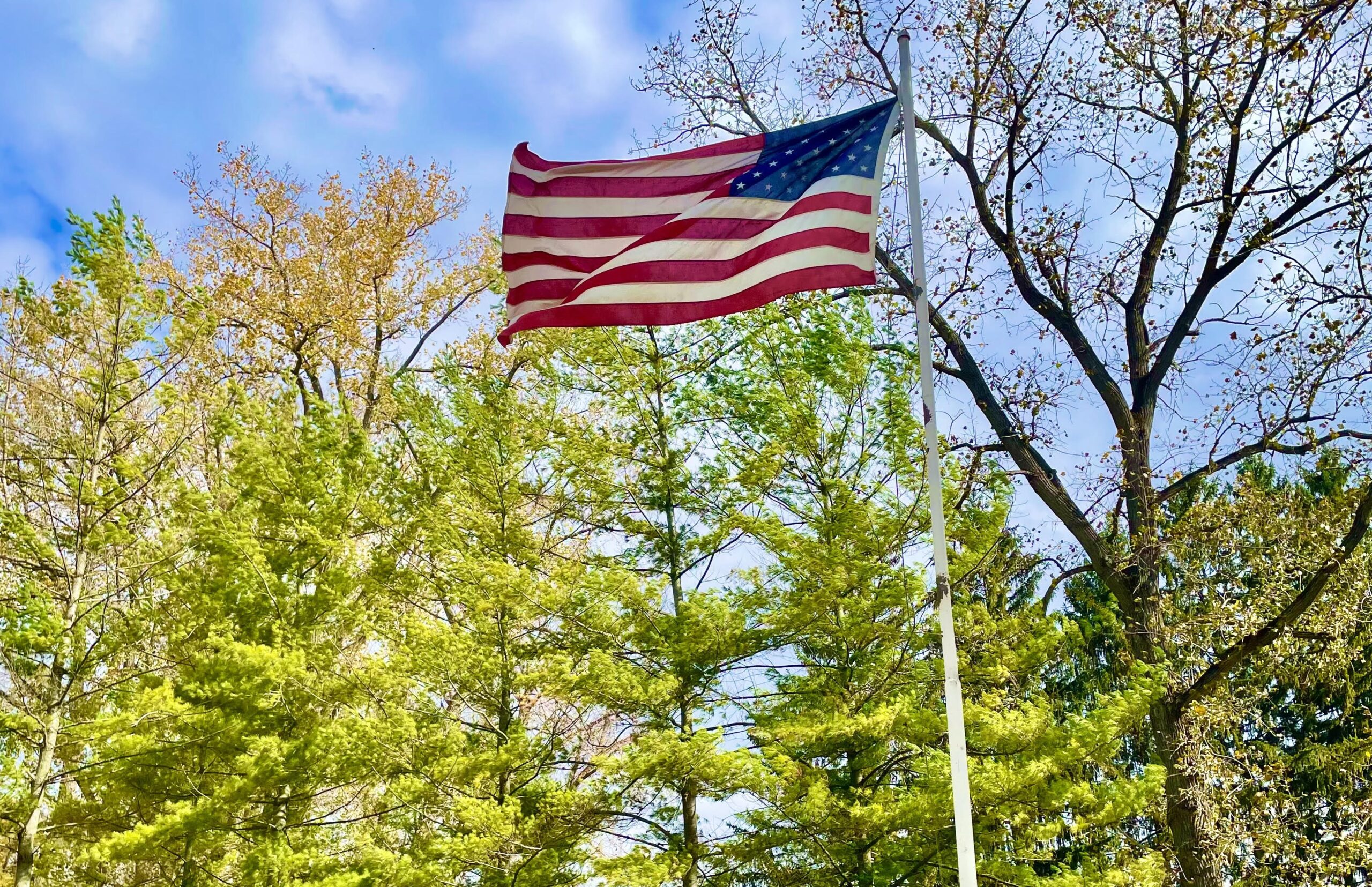 Cortland County sees 200 new voter registrations