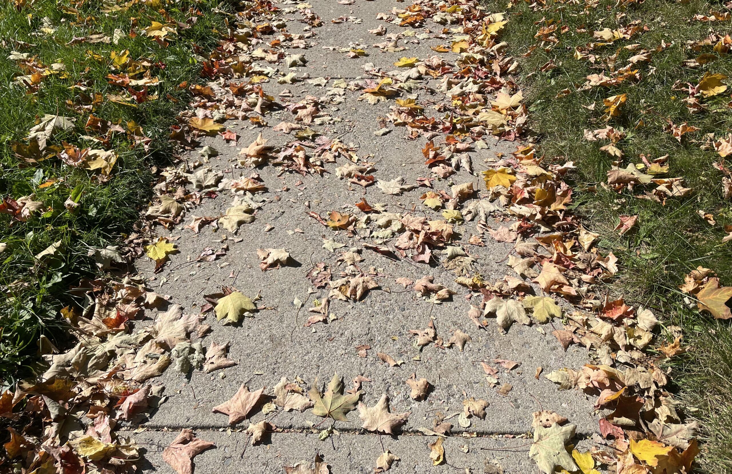Cayuga Heights to add sidewalk