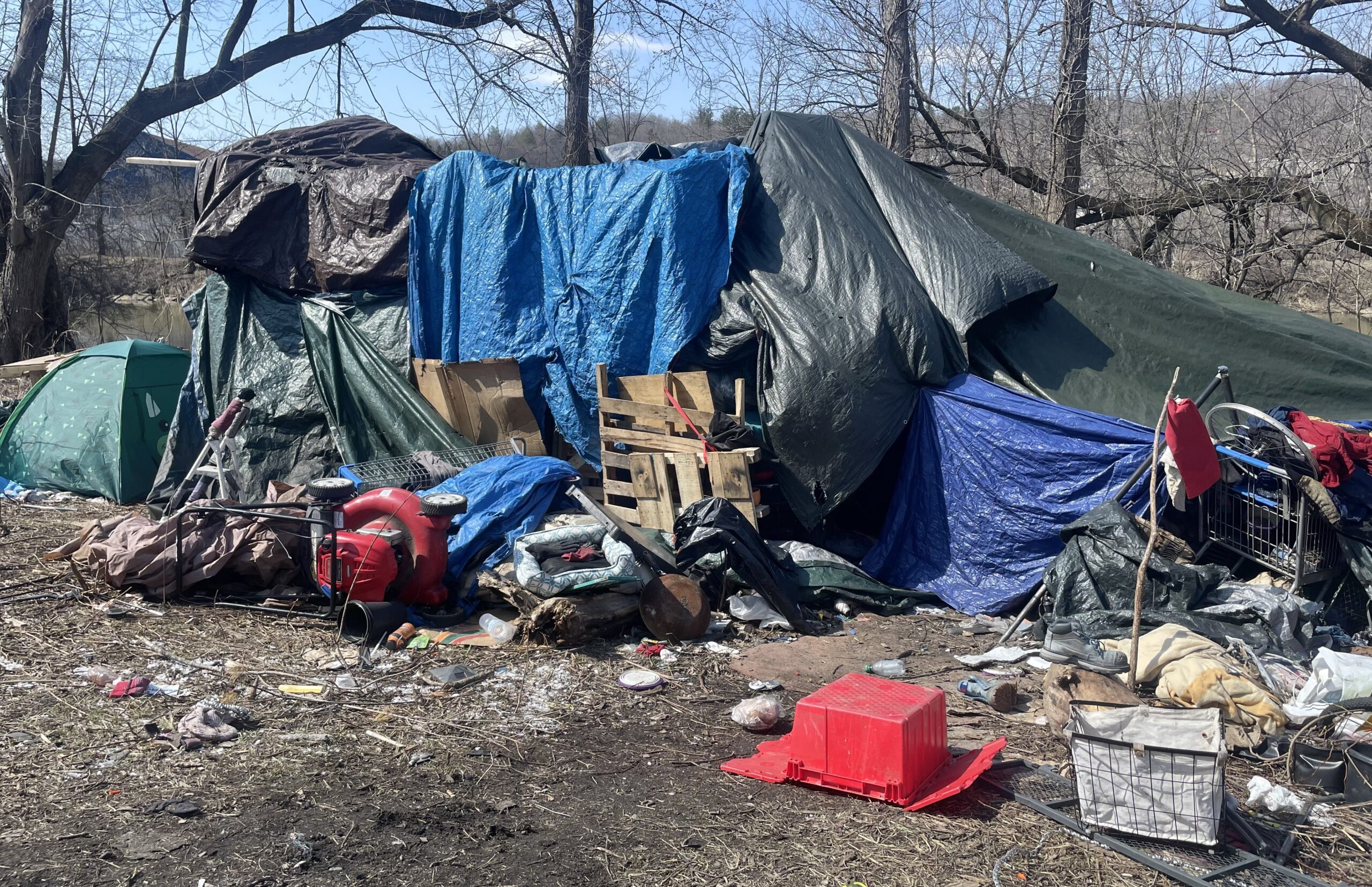 ‘The Jungle’ reaching ‘crisis’ level, says IPD chief ‘The Jungle’ reaching ‘crisis’ level, says IPD chief