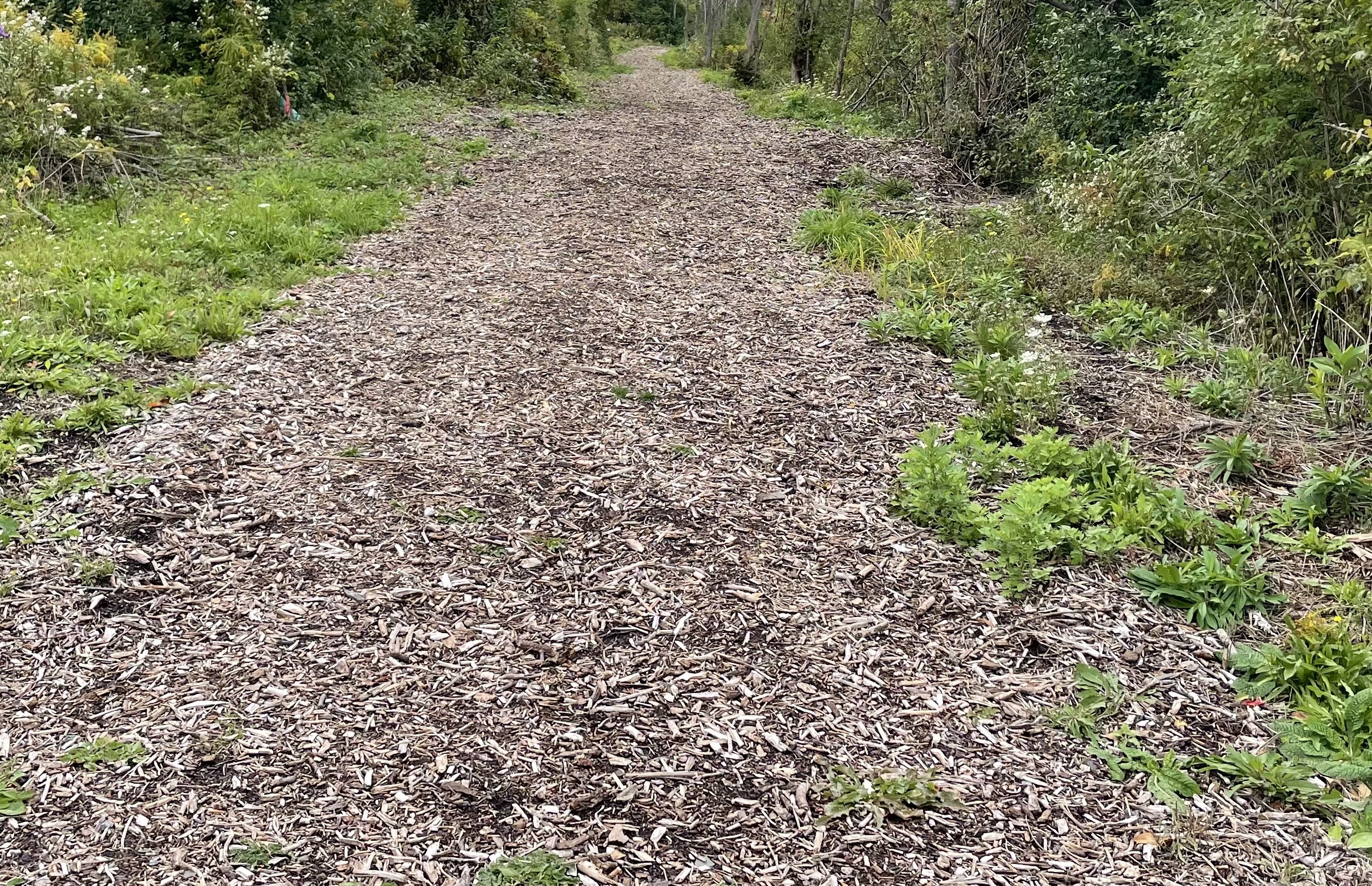 Homer plans to construct a river path Homer plans to construct a river path