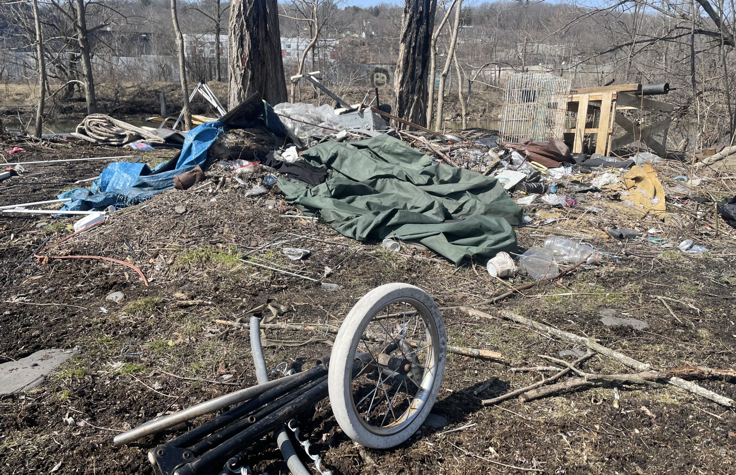 McGonigal calls on Ithaca leaders to act on Jungle crime