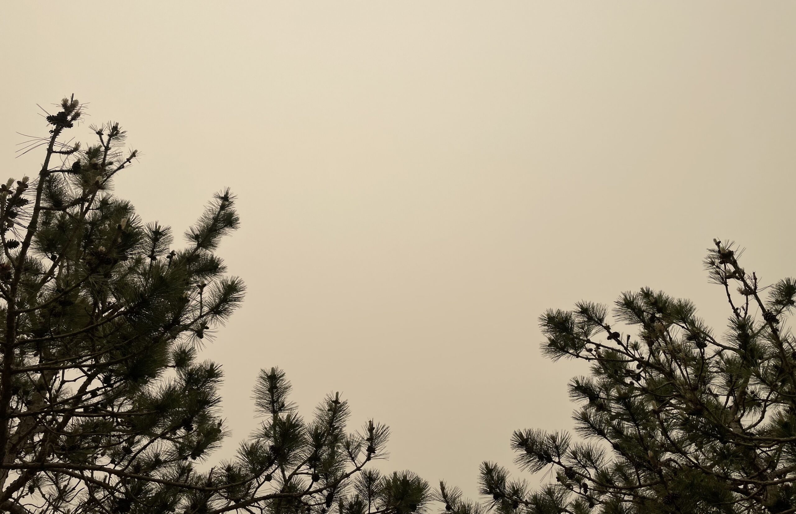 Tompkins County dealing with poor air quality Tompkins County dealing with poor air quality