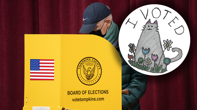 ‘I Voted’ sticker contest winner announced in Tompkins County