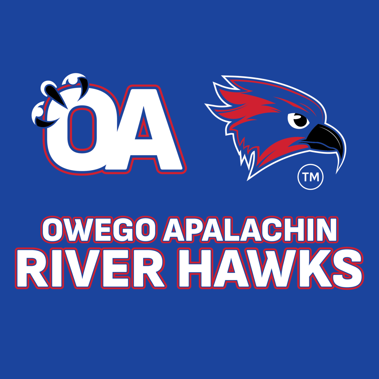 Owego Apalachin reveals images of new school mascot